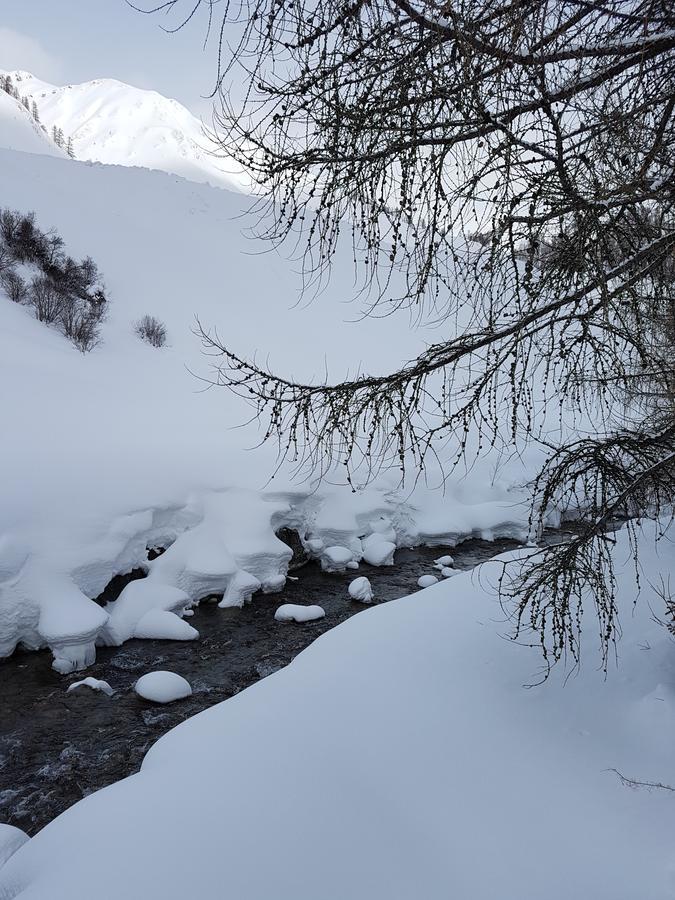 Haus Am Brunnen Daire Samnaun Dış mekan fotoğraf